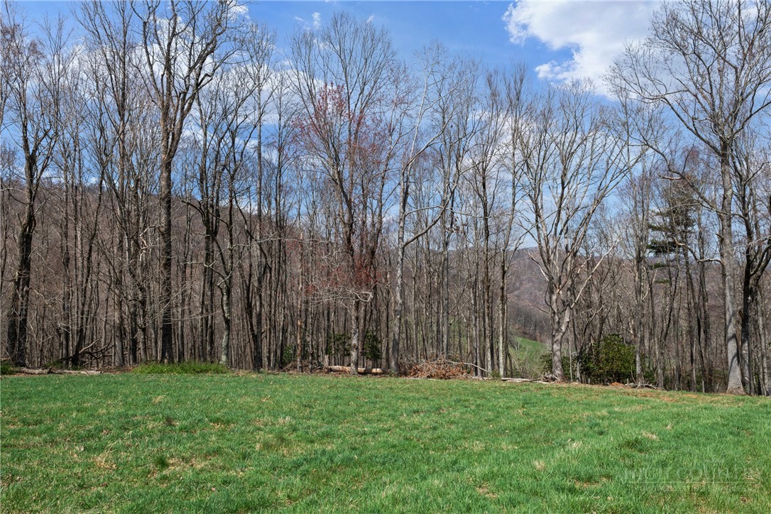 Lot 36 Poplar Forest Drive Property Photo 5