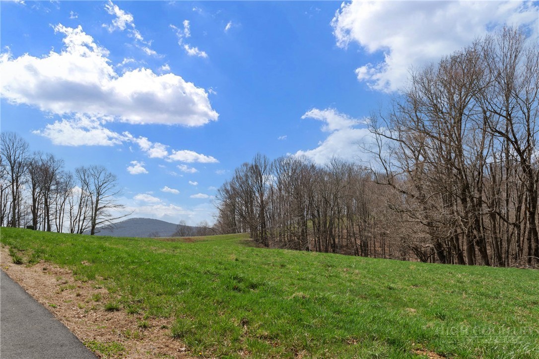 Lot 36 Poplar Forest Drive Property Photo 6