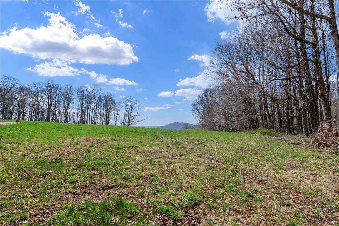 Lot 36 Poplar Forest Drive Property Photo 7