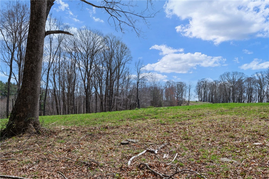 Lot 36 Poplar Forest Drive Property Photo 8