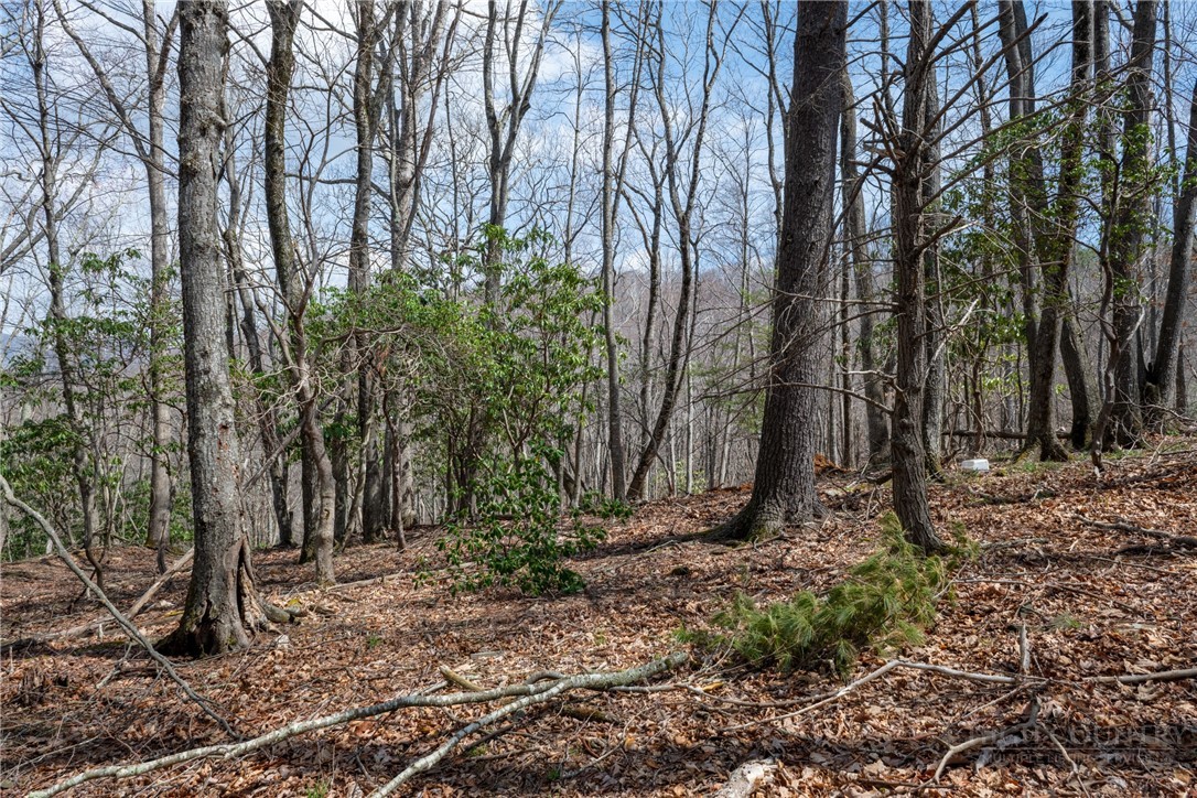 Lot 36 Poplar Forest Drive Property Photo 9