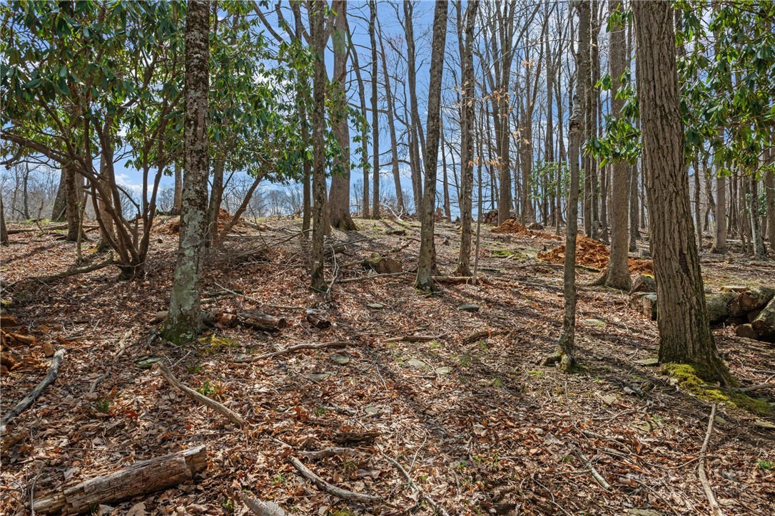 Lot 36 Poplar Forest Drive Property Photo 10