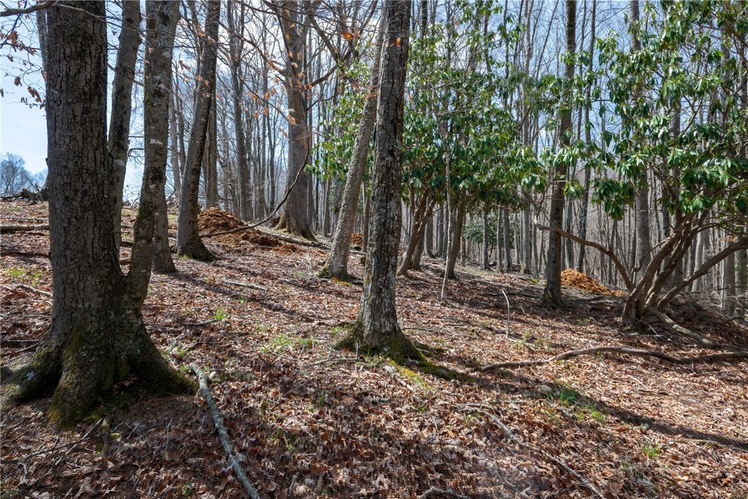 Lot 36 Poplar Forest Drive Property Photo 11