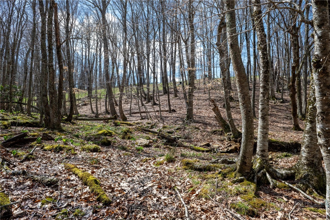 Lot 36 Poplar Forest Drive Property Photo 12
