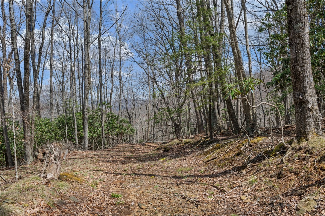Lot 36 Poplar Forest Drive Property Photo 13