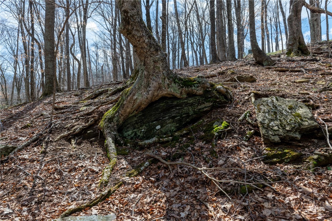Lot 36 Poplar Forest Drive Property Photo 14