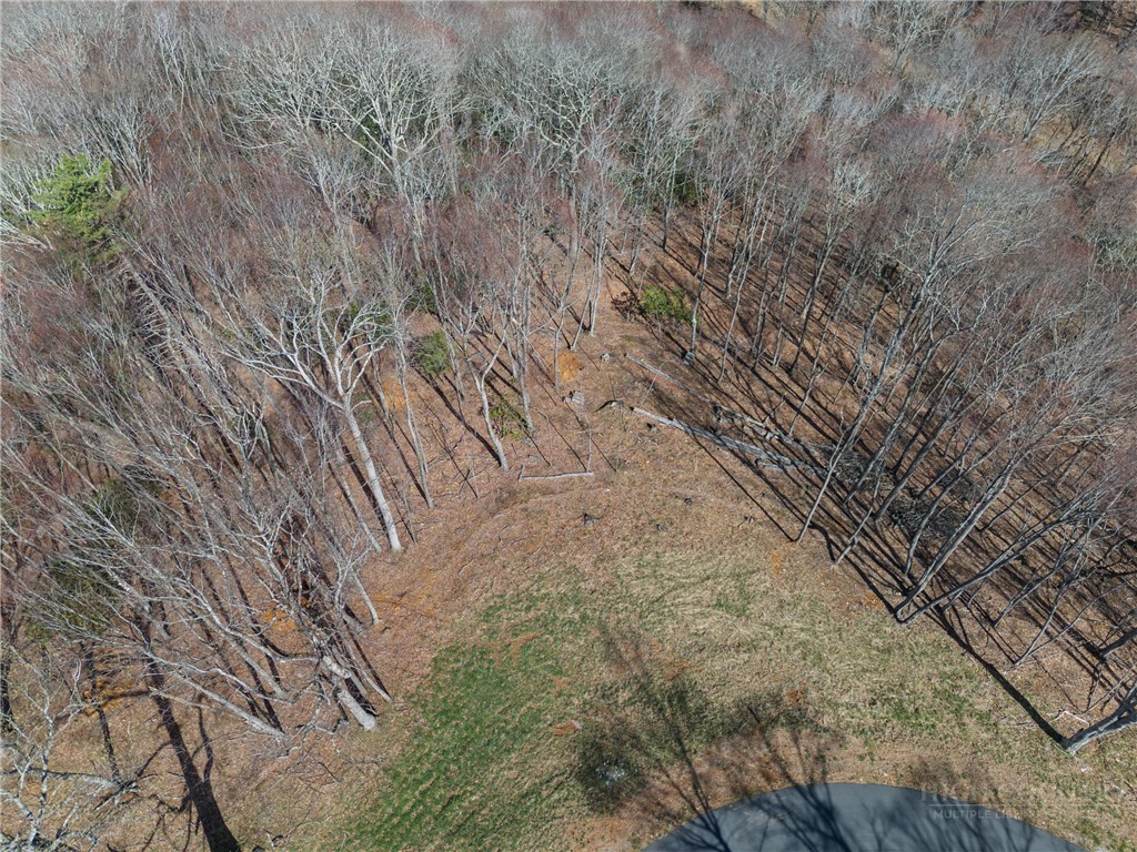 Lot 36 Poplar Forest Drive Property Photo 15