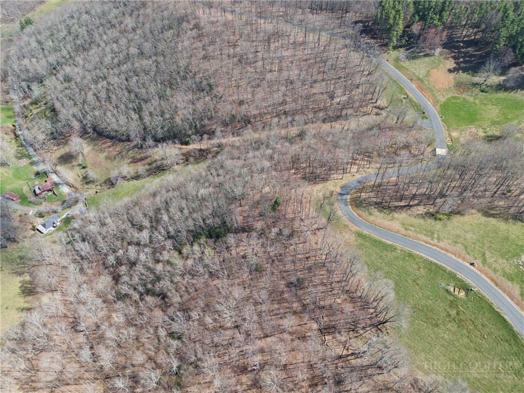 Lot 36 Poplar Forest Drive Property Photo 16
