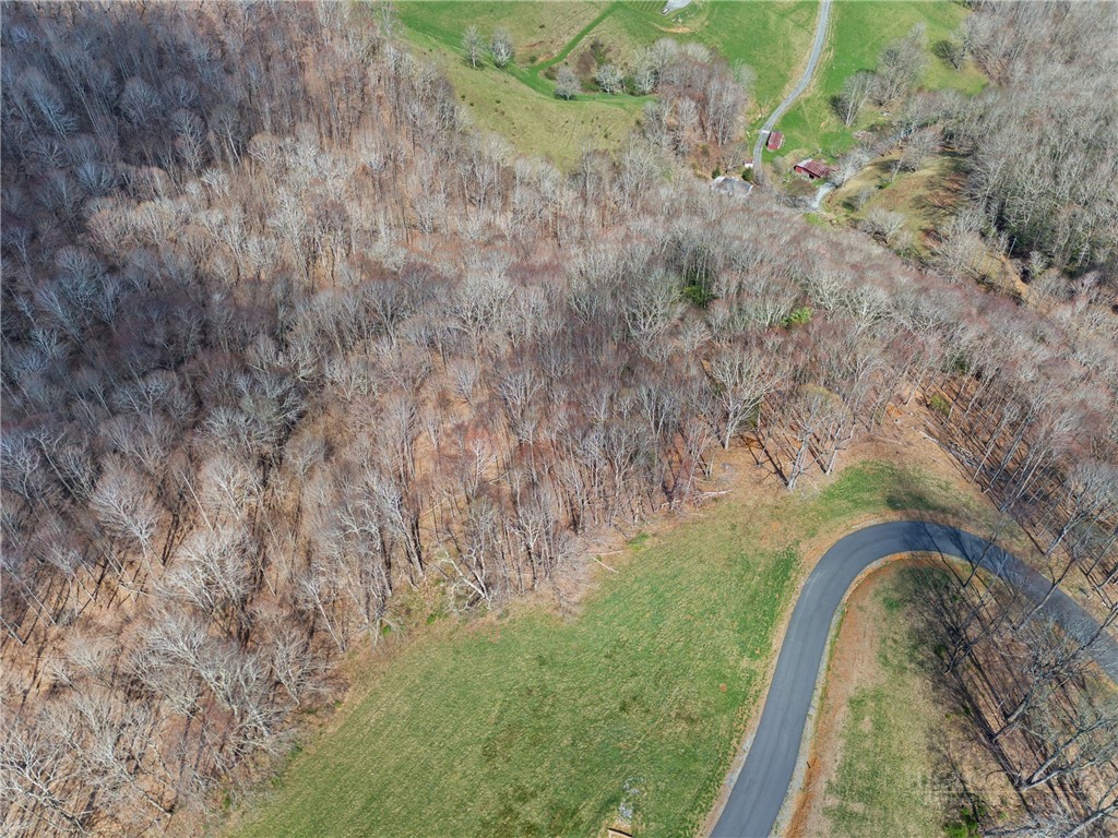 Lot 36 Poplar Forest Drive Property Photo 17