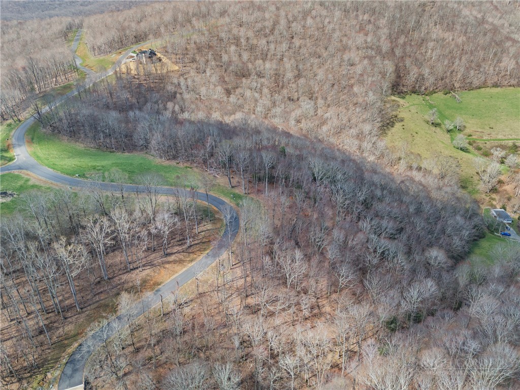 Lot 36 Poplar Forest Drive Property Photo 18