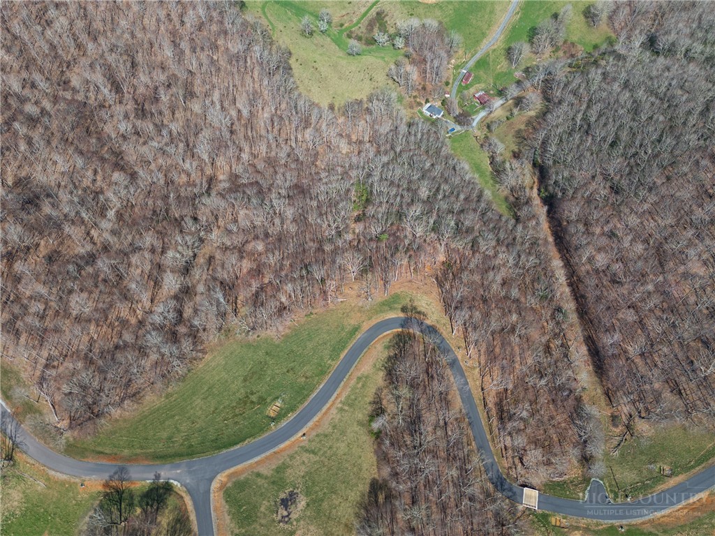 Lot 36 Poplar Forest Drive Property Photo 19
