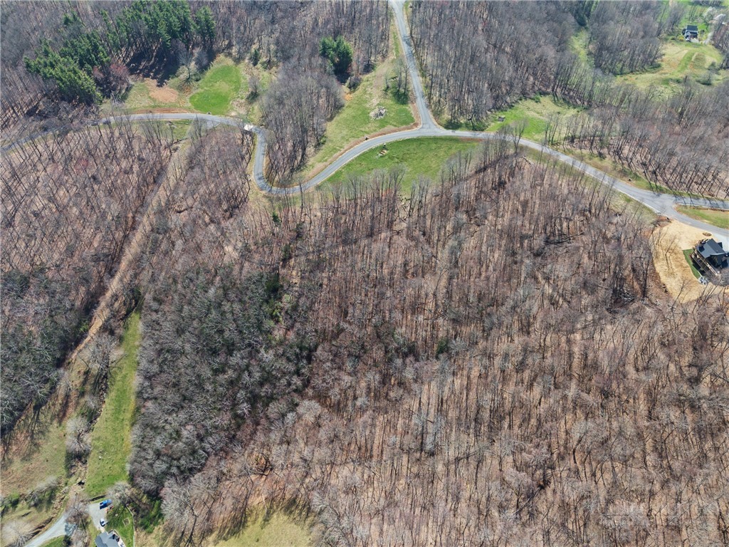 Lot 36 Poplar Forest Drive Property Photo 20