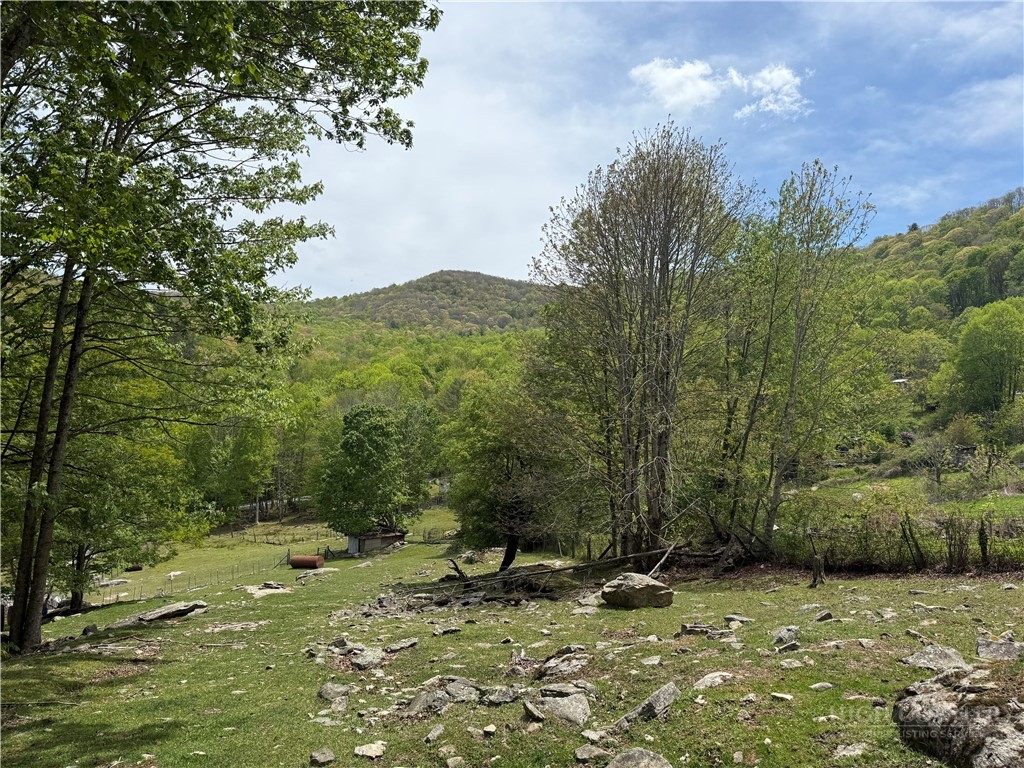 TBD Spice Creek Road Property Photo 1