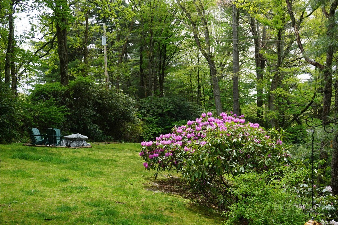 557 White Pine Road Property Photo 23