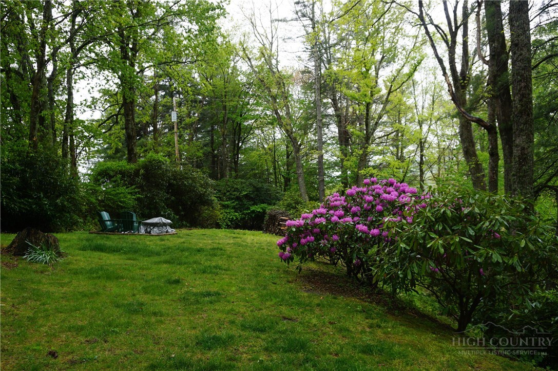 557 White Pine Road Property Photo 35
