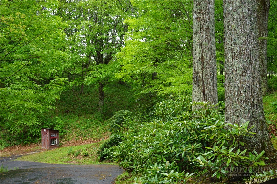 557 White Pine Road Property Photo 38