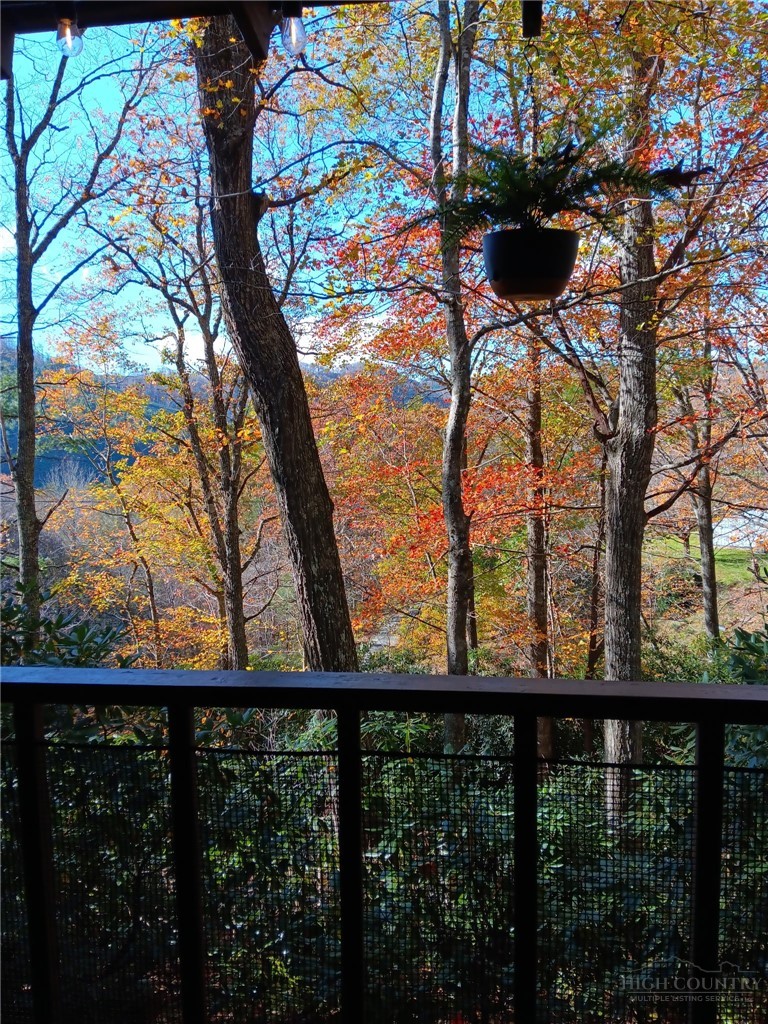 557 White Pine Road Property Photo 42