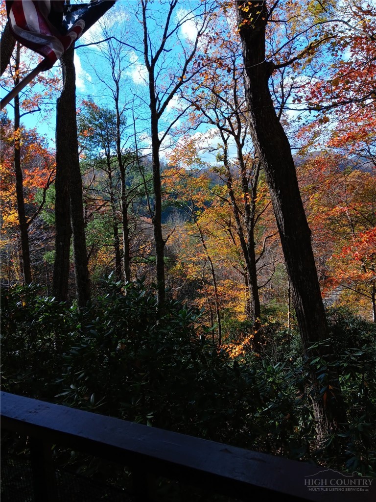557 White Pine Road Property Photo 44