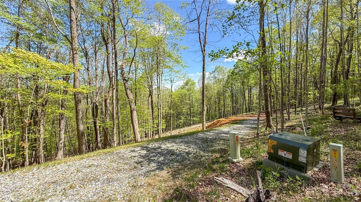 Tbd Maple Leaf Road Property Photo 1
