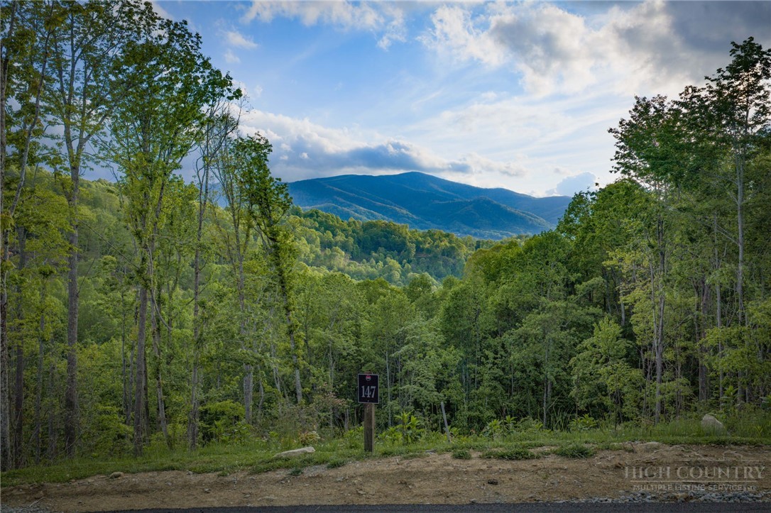 Lot 147 Old Forge Trail Property Photo 1