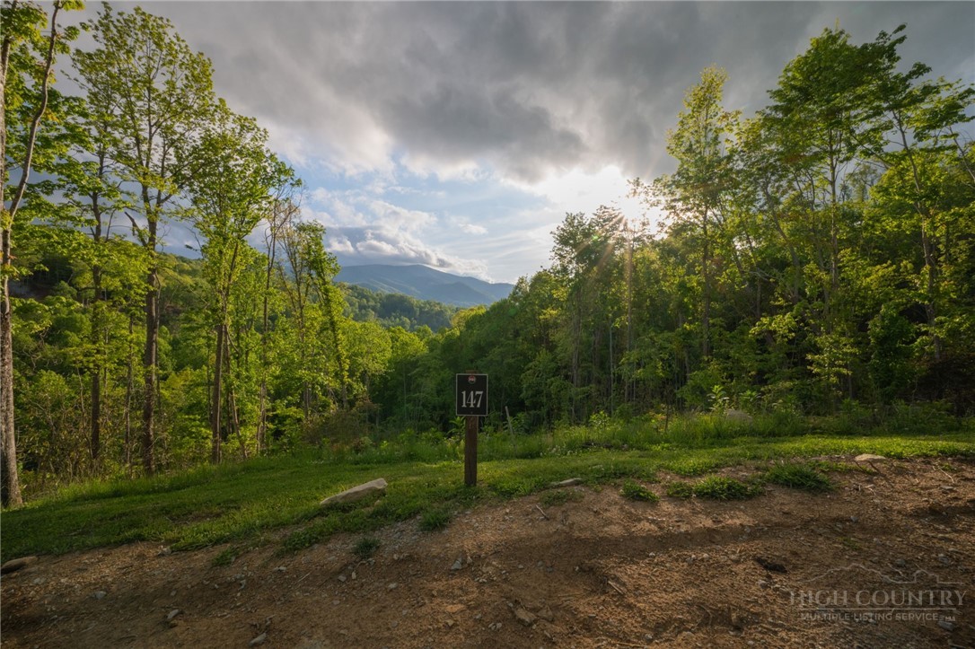 Lot 147 Old Forge Trail Property Photo 2