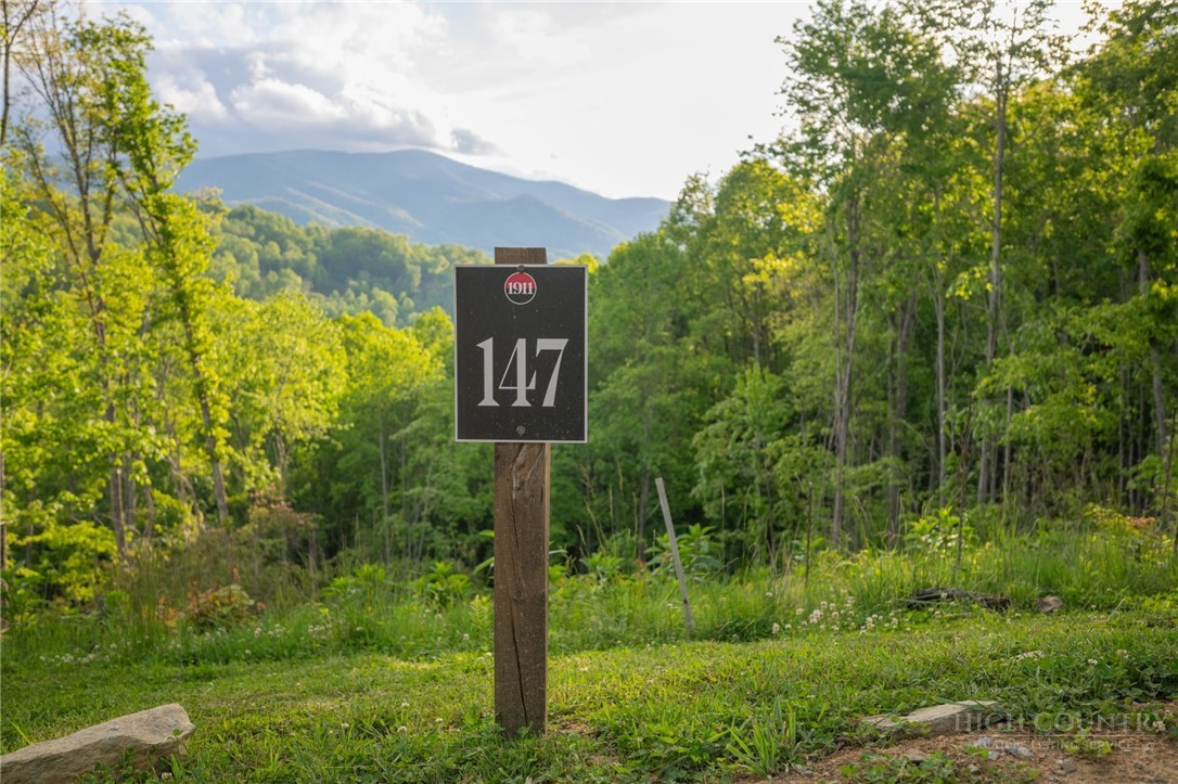 Lot 147 Old Forge Trail Property Photo 3