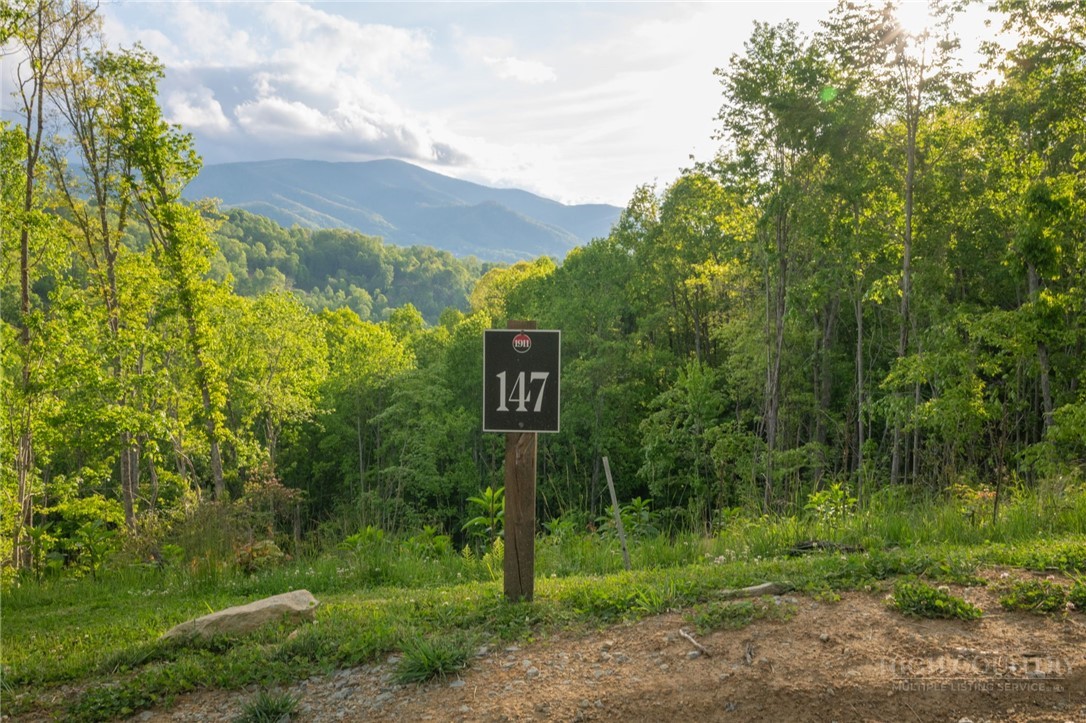 Lot 147 Old Forge Trail Property Photo 5