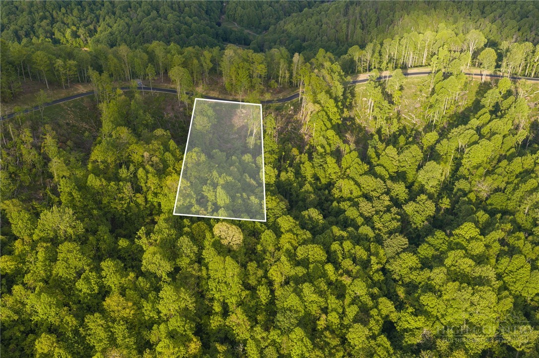 Lot 147 Old Forge Trail Property Photo 8