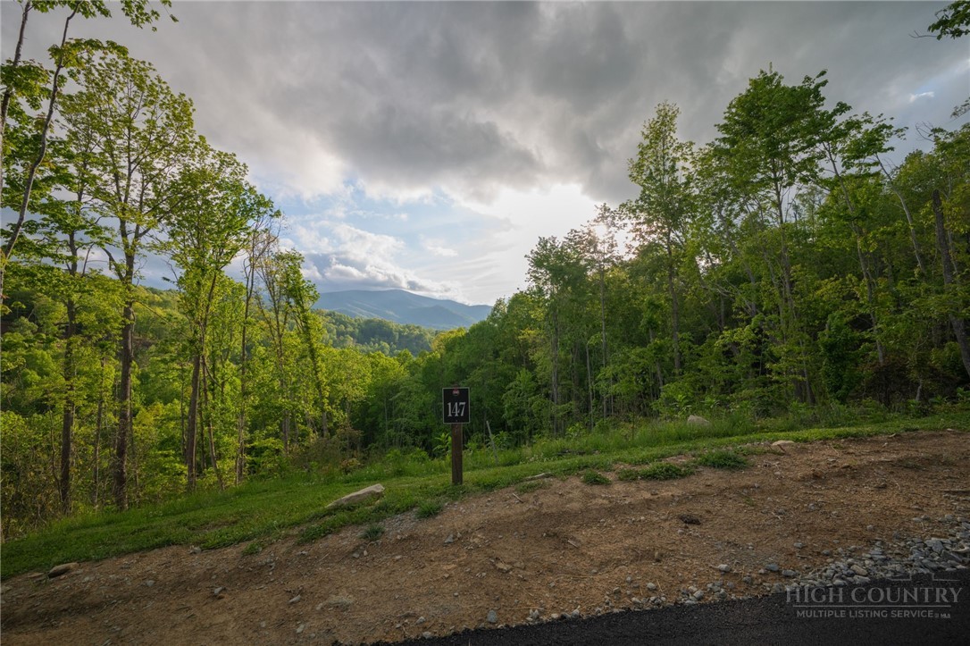 Lot 147 Old Forge Trail Property Photo 12