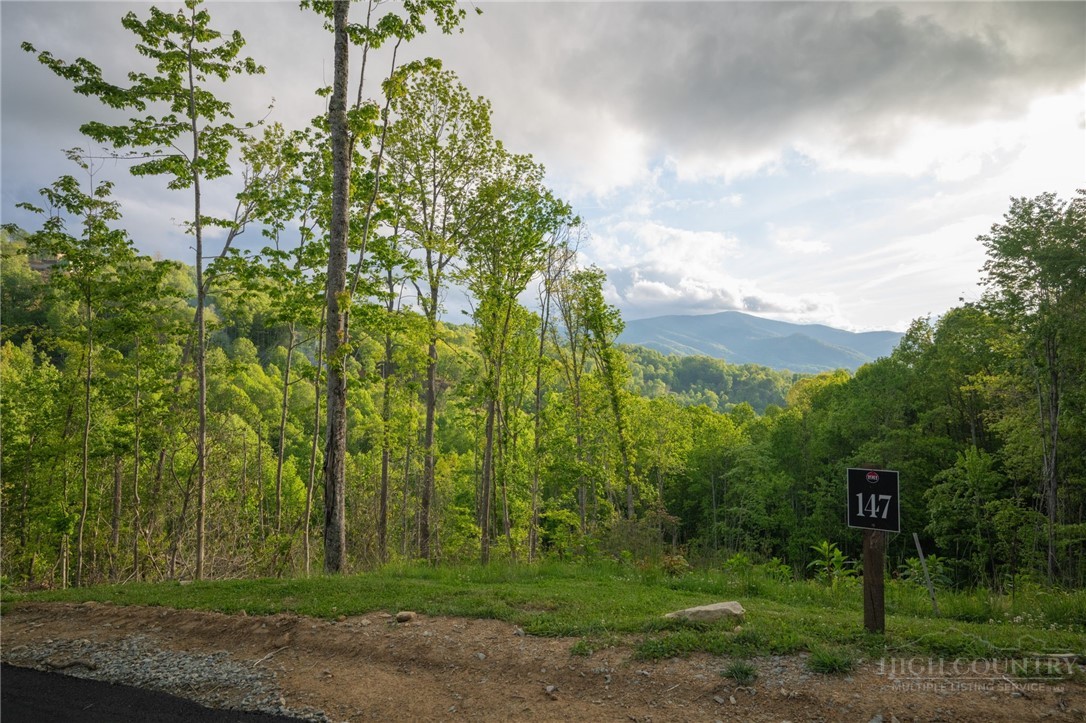 Lot 147 Old Forge Trail Property Photo 13