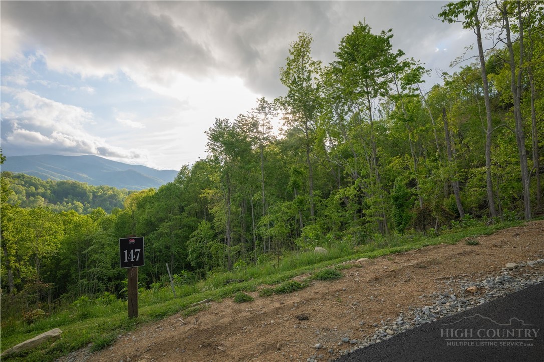 Lot 147 Old Forge Trail Property Photo 14