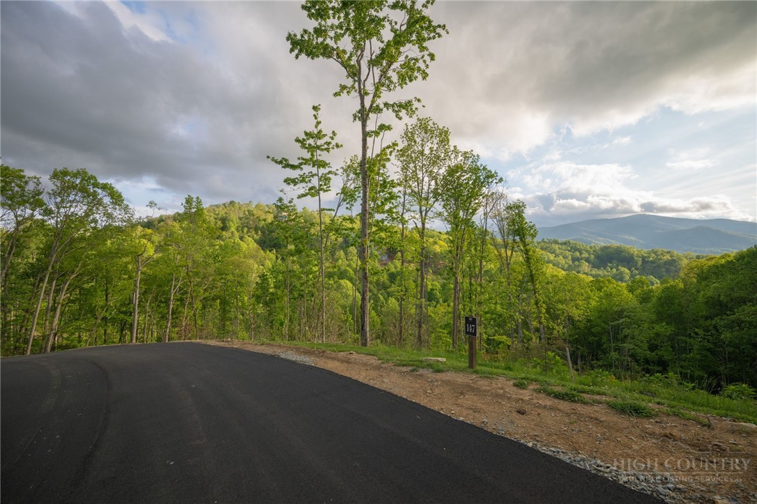 Lot 147 Old Forge Trail Property Photo 15