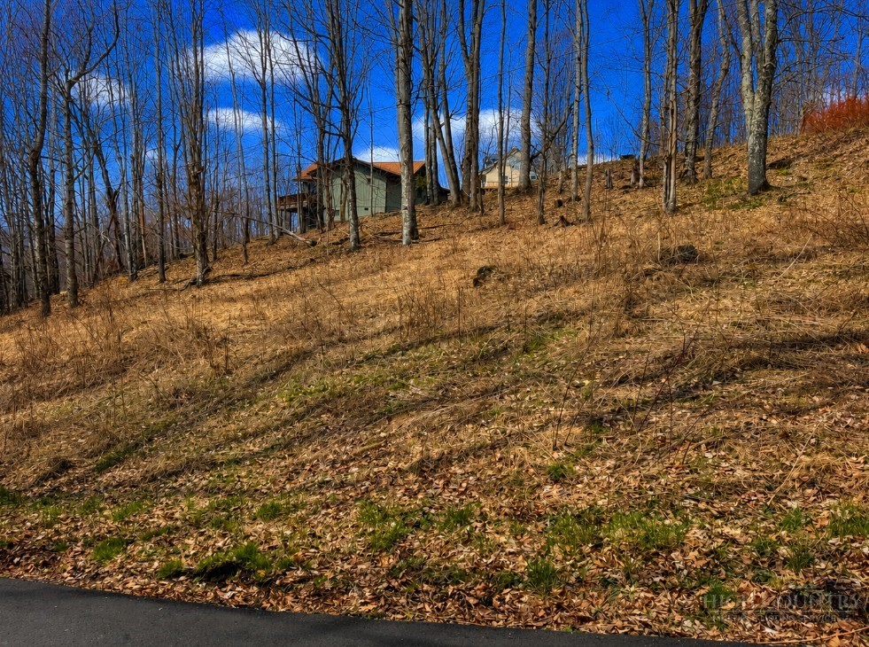 Lot 9 Harley Perry Road Property Photo 3