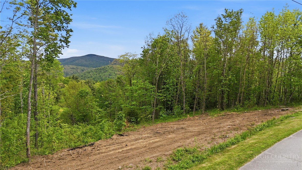 Lot 73 Linhigh Drive Property Photo 1