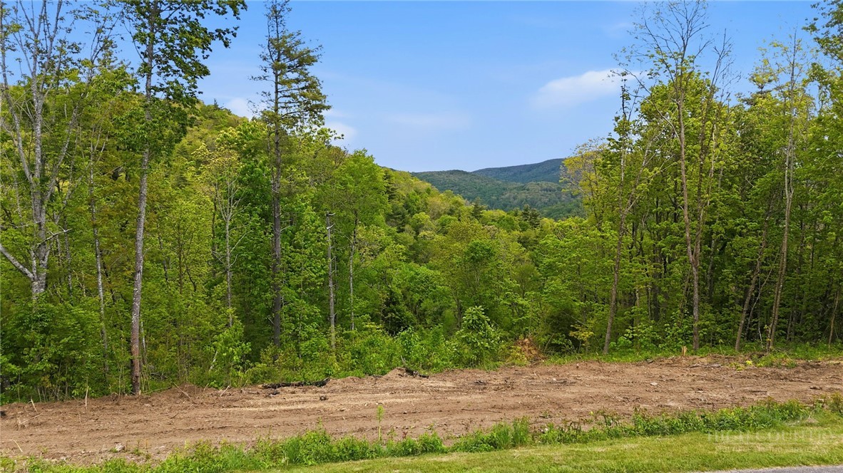 Lot 73 Linhigh Drive Property Photo 2