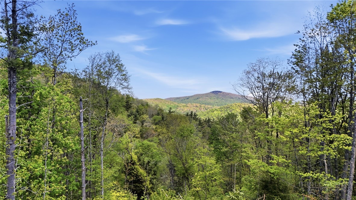 Lot 73 Linhigh Drive Property Photo 3