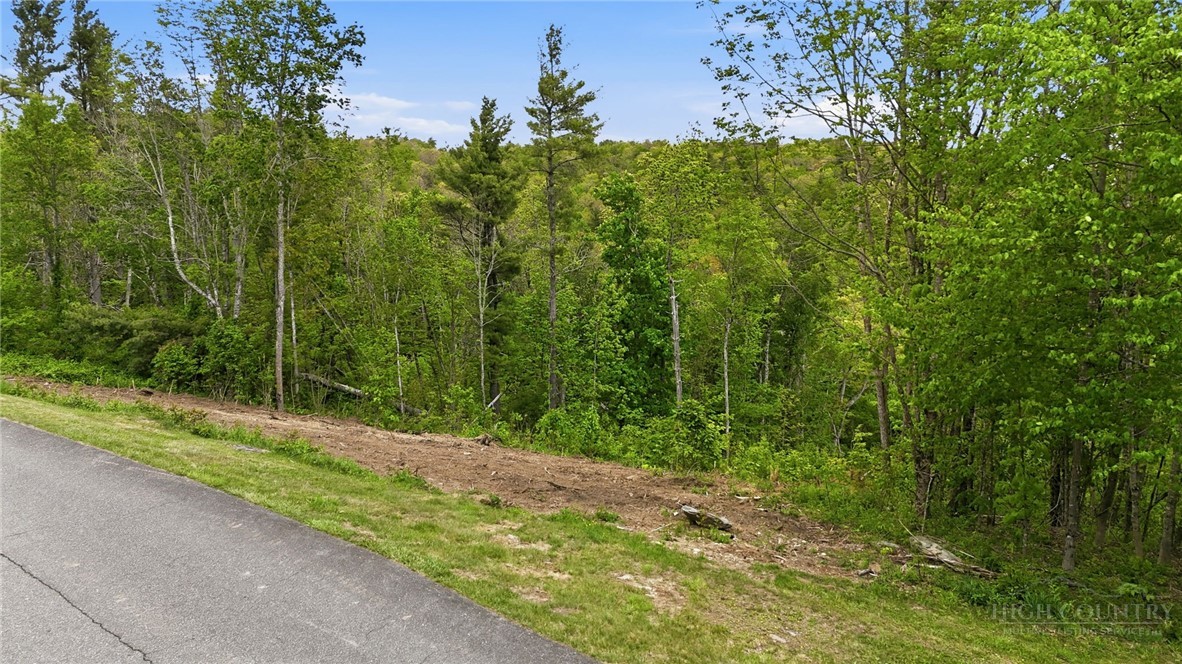 Lot 73 Linhigh Drive Property Photo 5