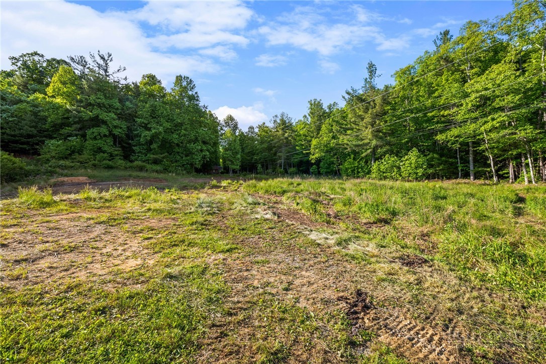 657 Lawrence Greene Road Property Photo 10