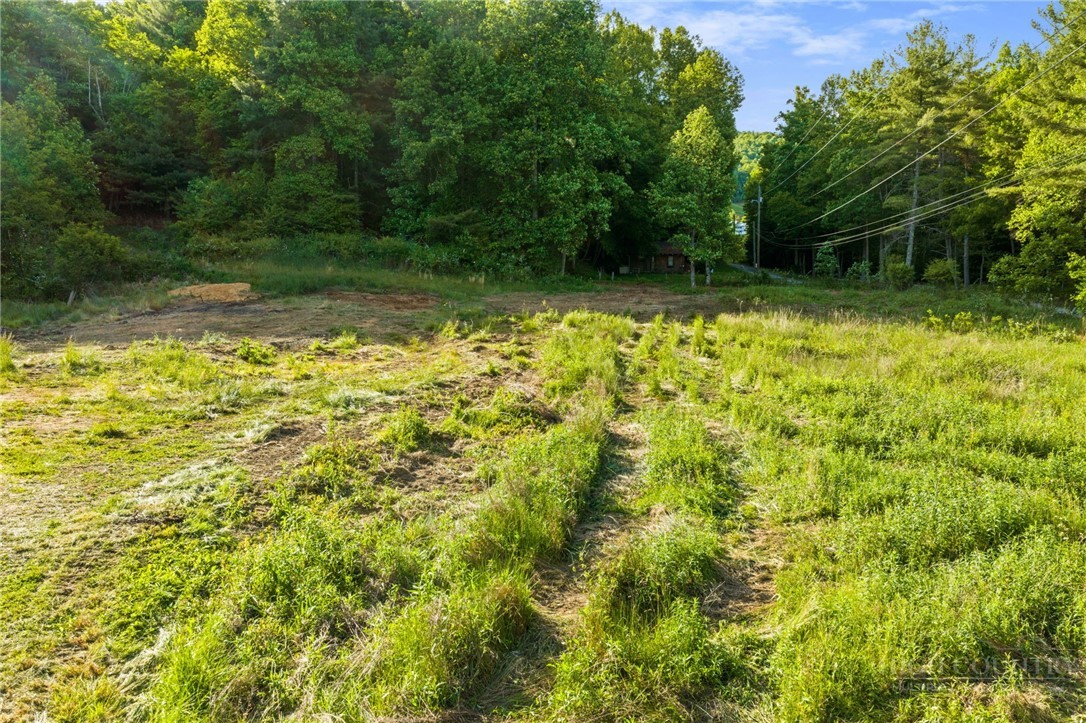 657 Lawrence Greene Road Property Photo 12