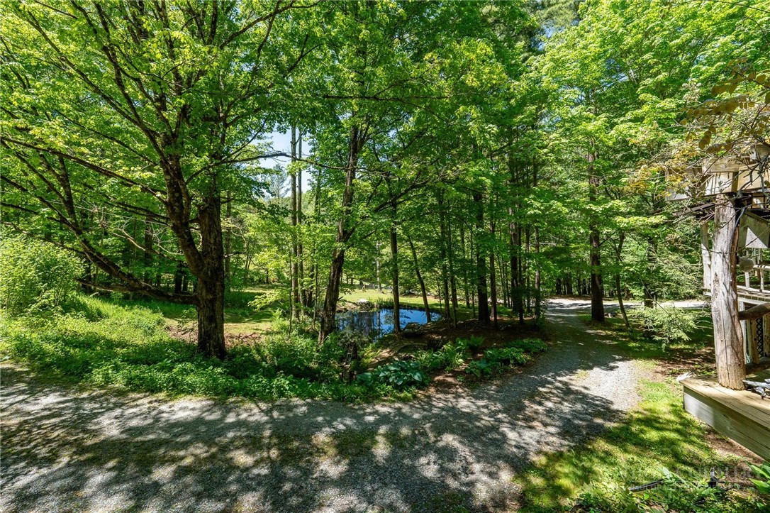 165 Natures Way Property Photo 46