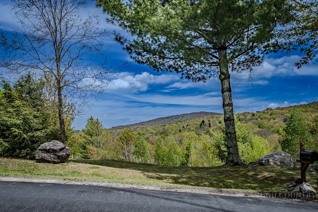 103 Upper Grouse Ridge Road Property Photo 3