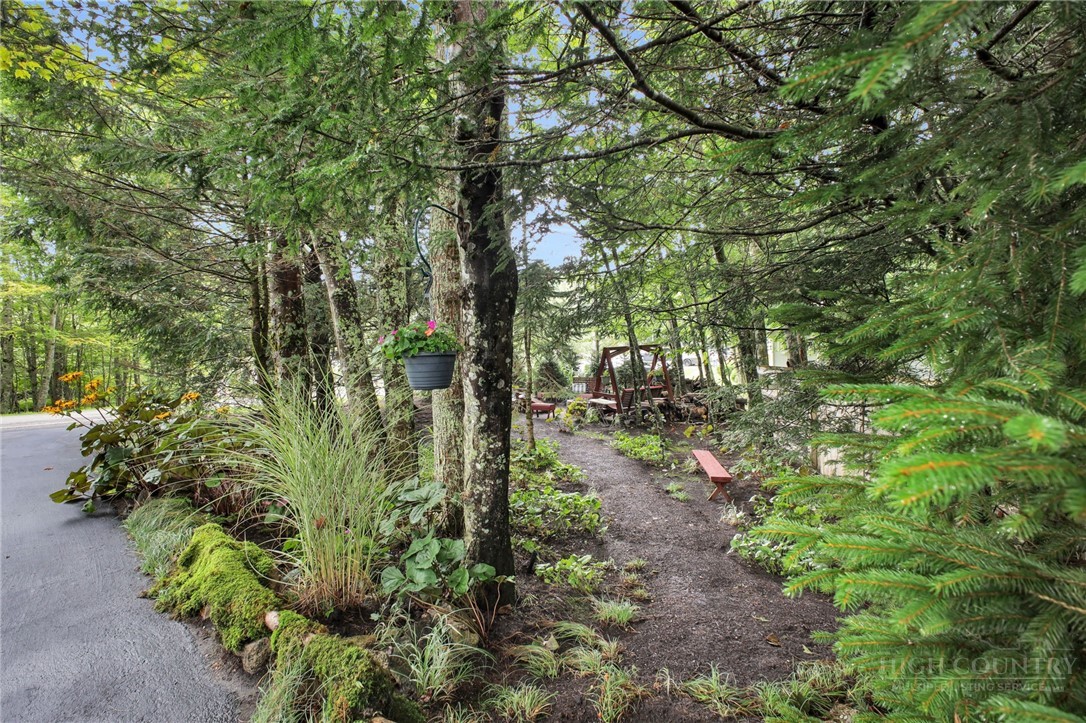 103 Upper Grouse Ridge Road Property Photo 36