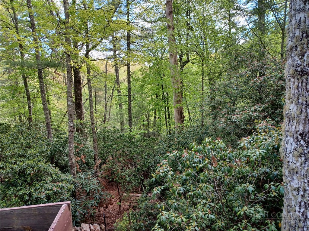 100 Tulip Lane Property Photo 41