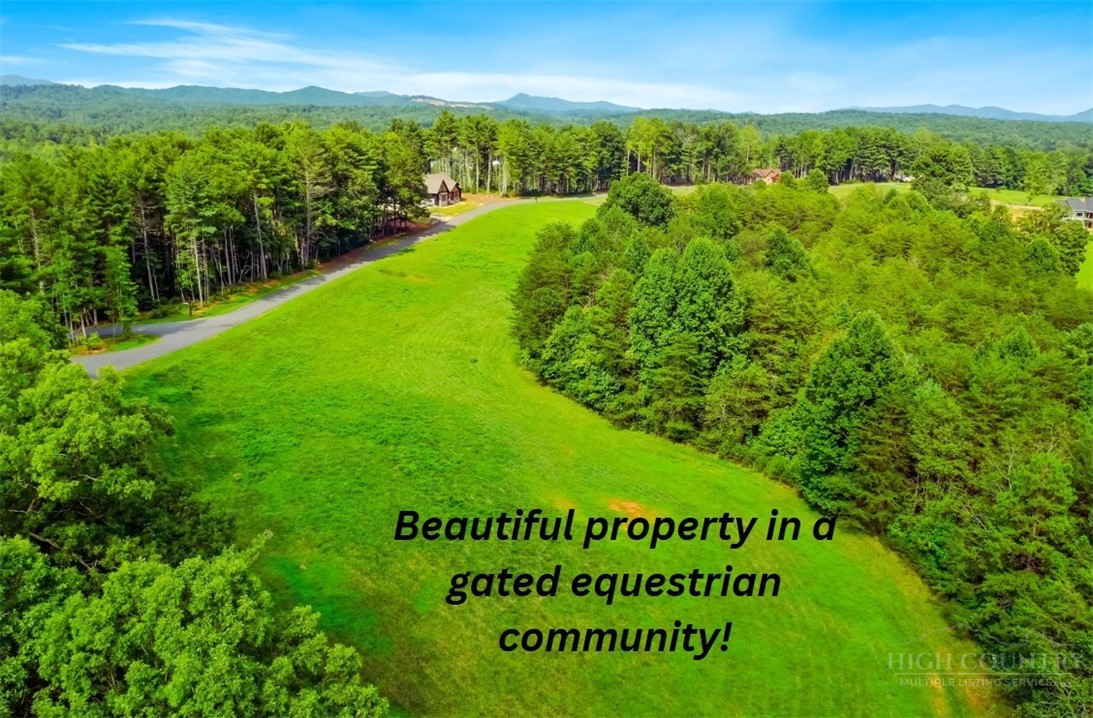 2093 Thoroughbred Way Property Photo 3
