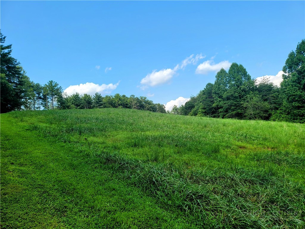 2093 Thoroughbred Way Property Photo 16