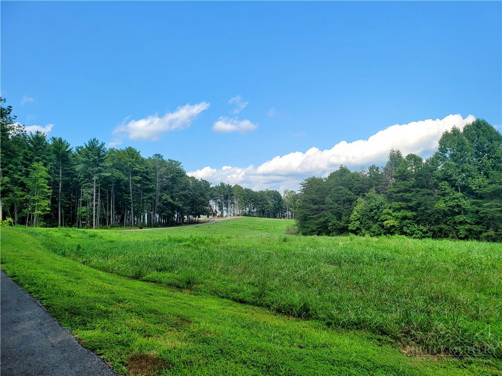2093 Thoroughbred Way Property Photo 17