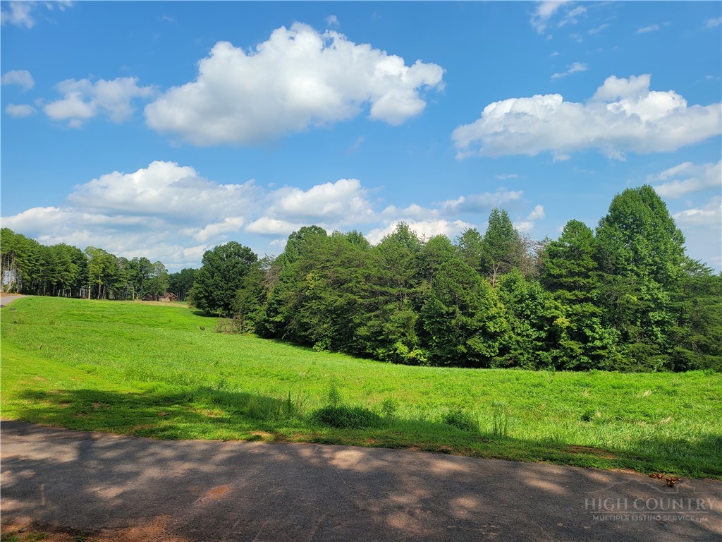 2093 Thoroughbred Way Property Photo 18