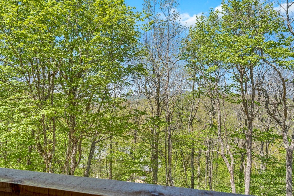 536 Boone Ridge Lane Property Photo 13
