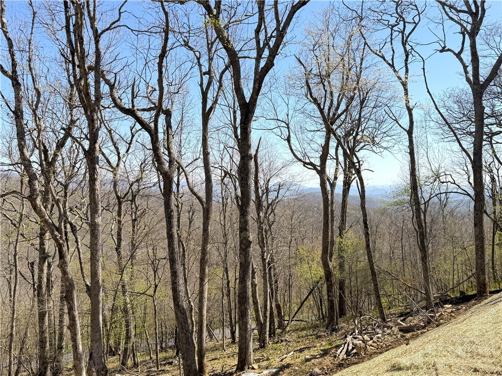 536 Boone Ridge Lane Property Photo 14