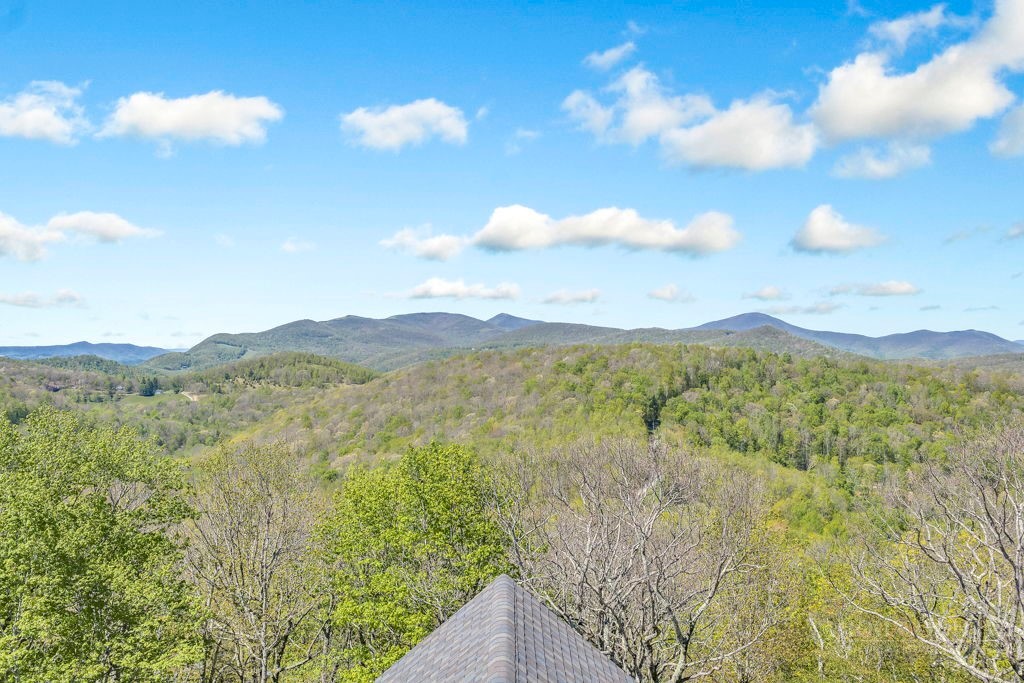 536 Boone Ridge Lane Property Photo 49